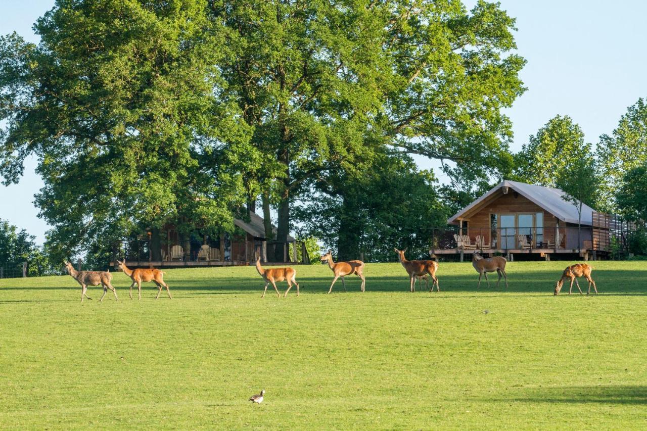 Parc Animalier De Sainte-Croix Hotel Rhodes Eksteriør billede