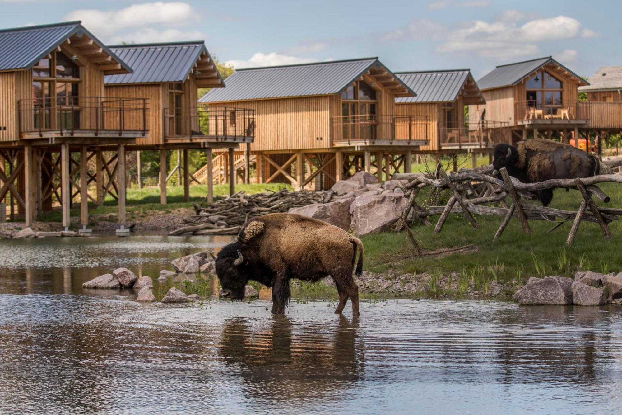 Parc Animalier De Sainte-Croix Hotel Rhodes Eksteriør billede